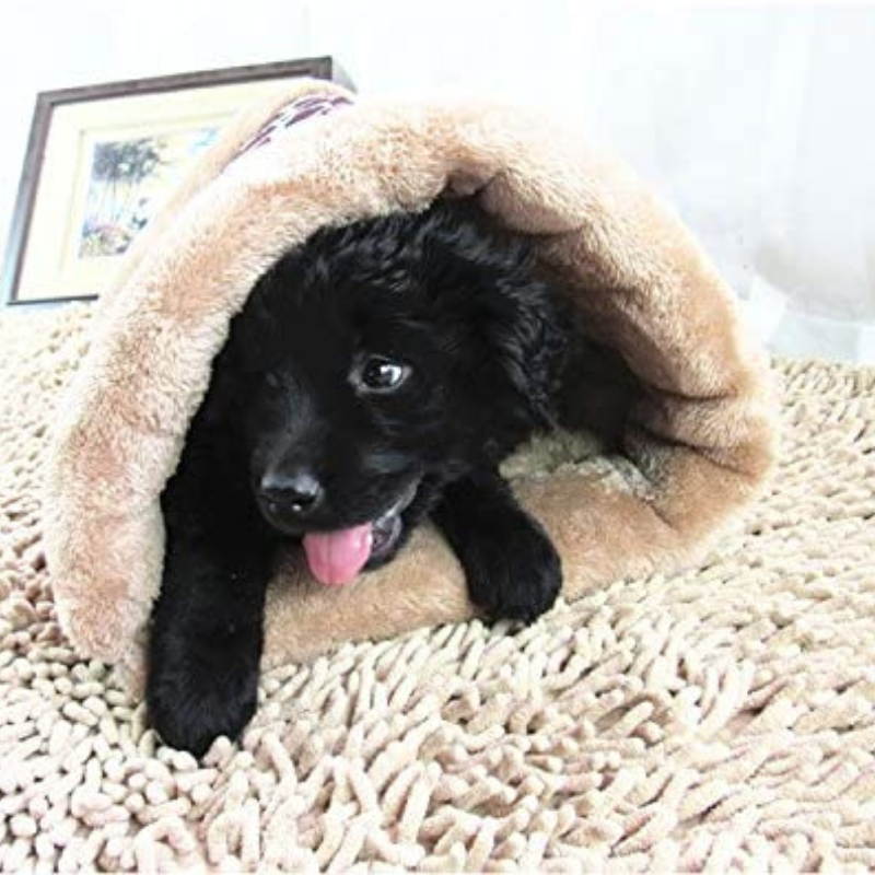 Kennel New Small Pet House