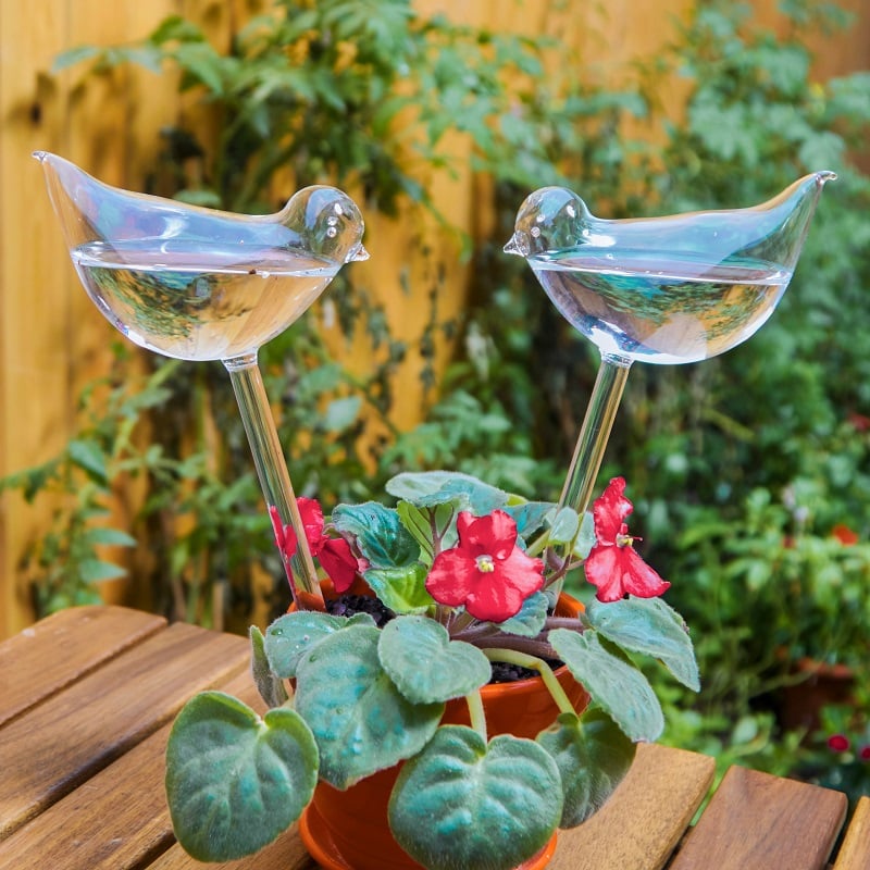 (🔥 Promotion-SAVE 49% OFF) Self-Watering Plant Glass Bulbs
