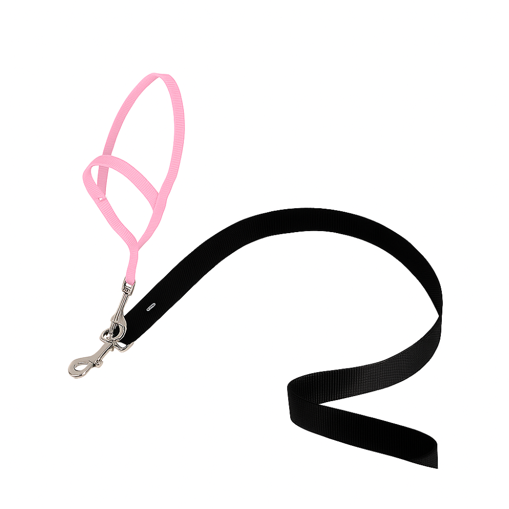 Adjustable No Pull Dog collar