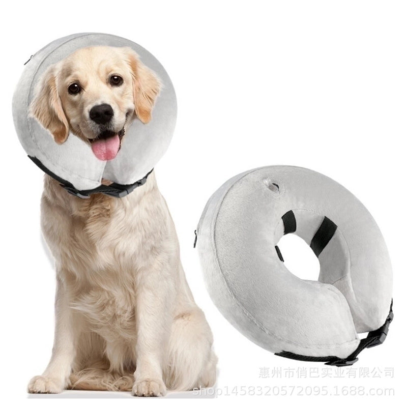 Minimalist Pvc Solid Color Pet Collar