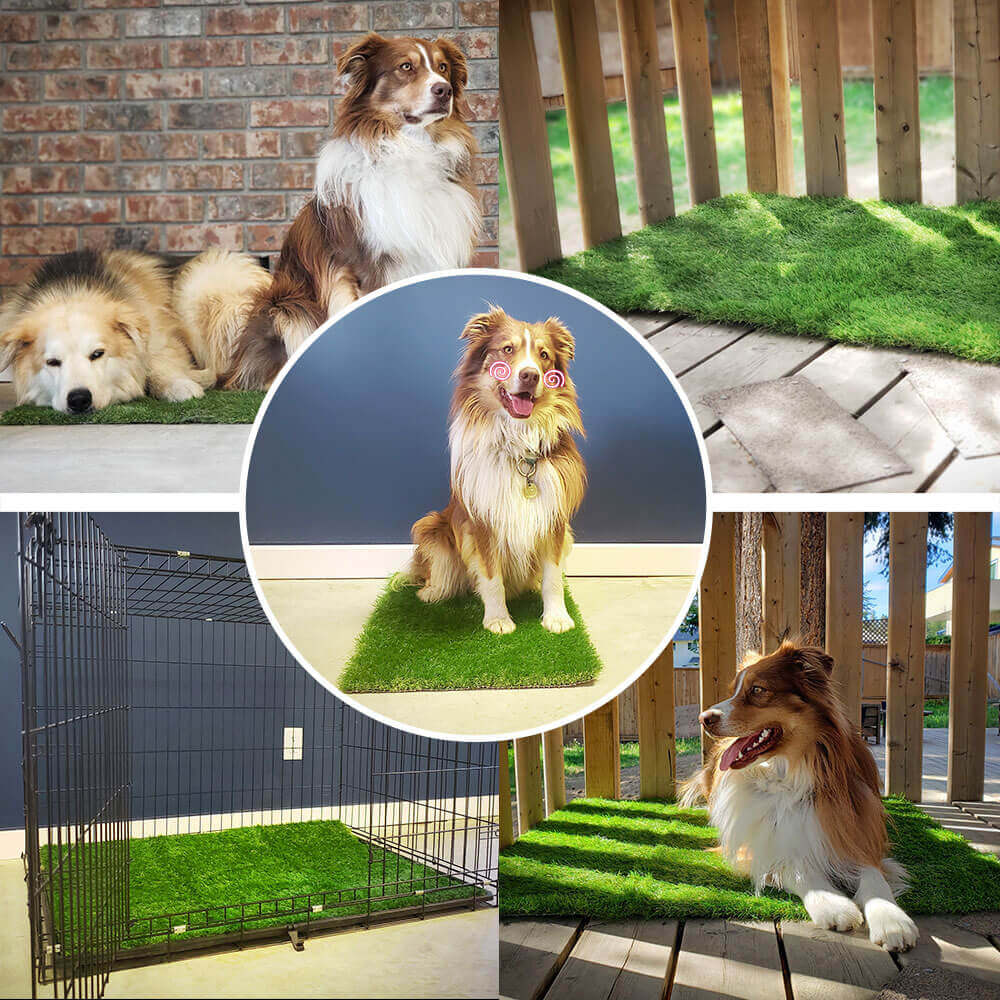 🎄Christmas Hot Sale 48% OFF - Dog Grass Pee Pads