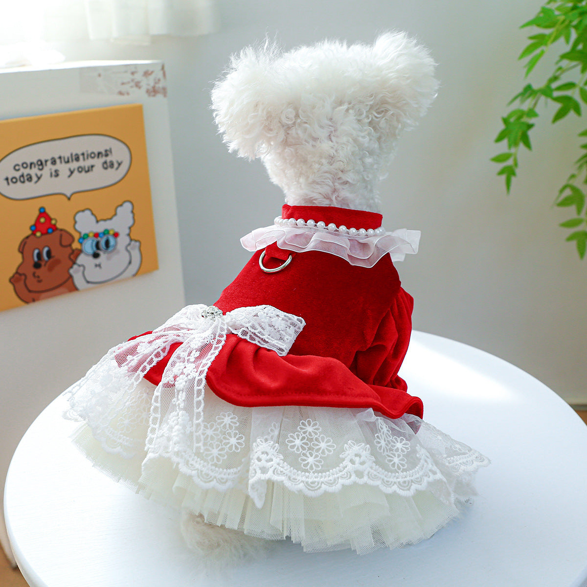 Velvet Lace Bowknot Dog Cat Dress