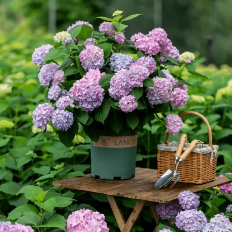 Outdoor Artificial Hydrangea Flowers💐