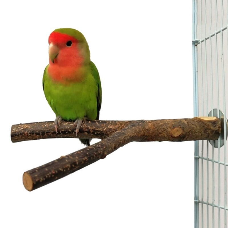 4 Pcs Bird Natural Wood Perch