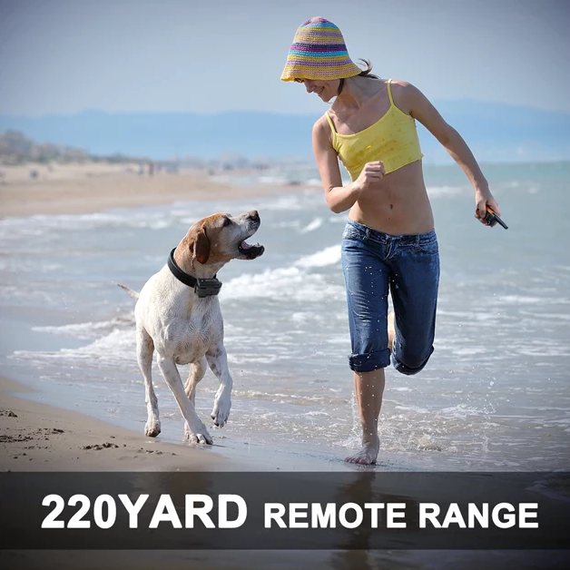 Remote Dog Training Collar With Beep. Vibrate and No Harm Shock