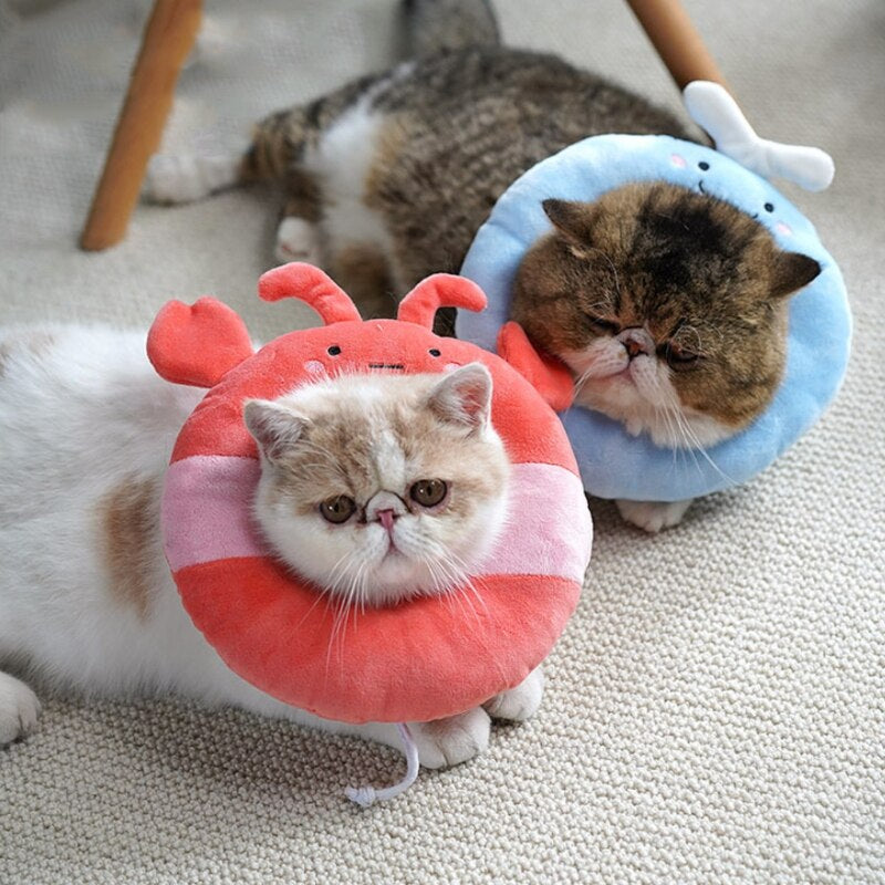 Collar Cute Little Crab Neck