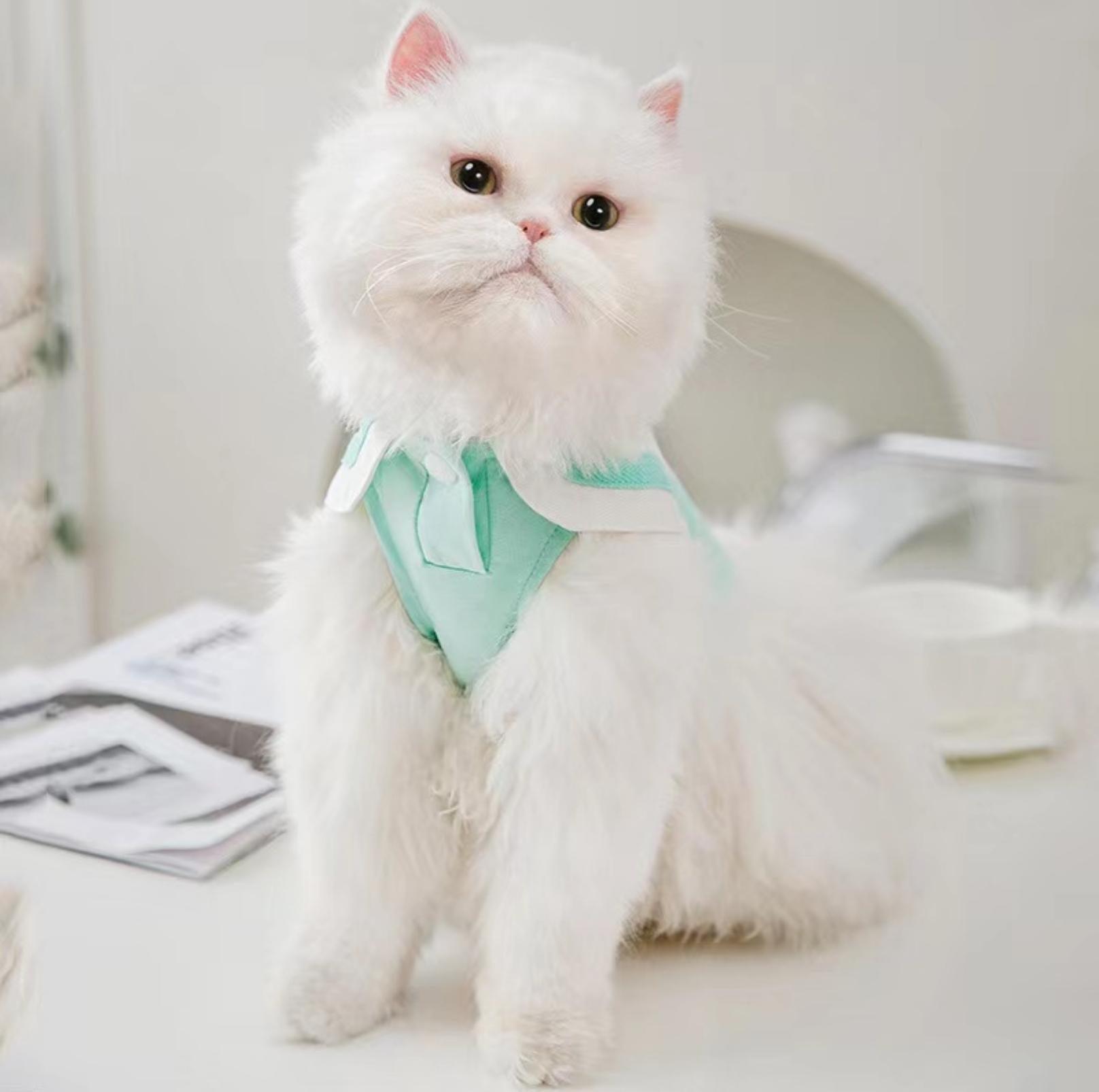 Summer Pet Vest with Naval Collar & Kitty Print