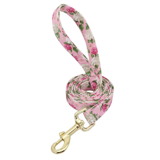 Personalized Engraved Dog Collar With Leash
