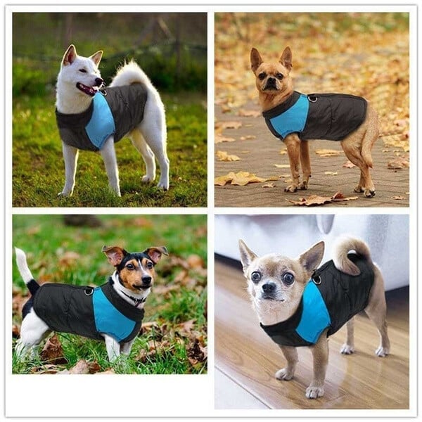 Dog Winter Warm Clothes Zipper Dog Vest🔥BUY 2 FREE SHIPPING