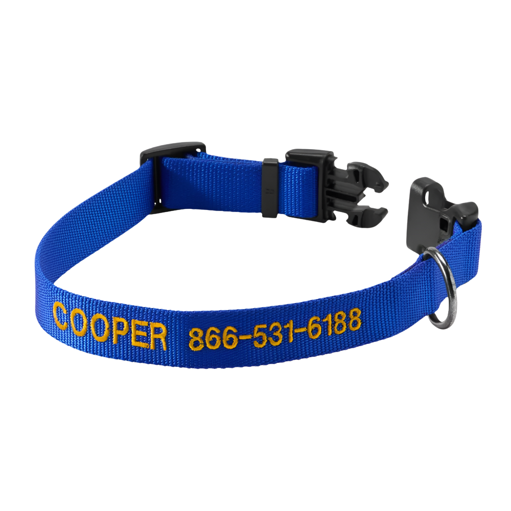 Personalized Side Release Buckle Collar