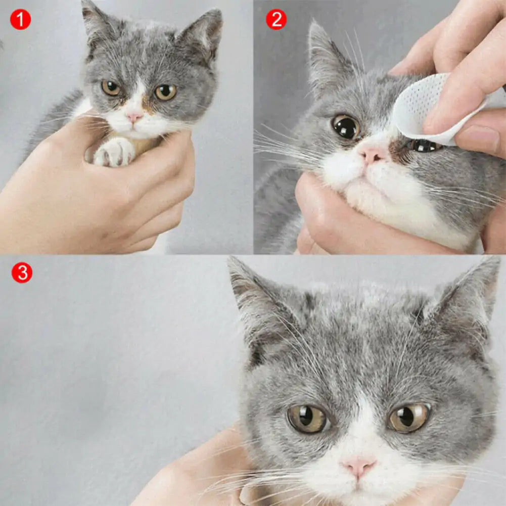 Pet Wet Eye And Ear Wipes