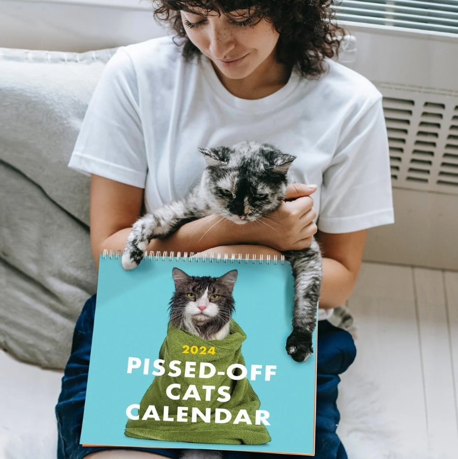 🎄Christmas Sale - 49% OFF😾2024 Pissed-Off Cats Calendar