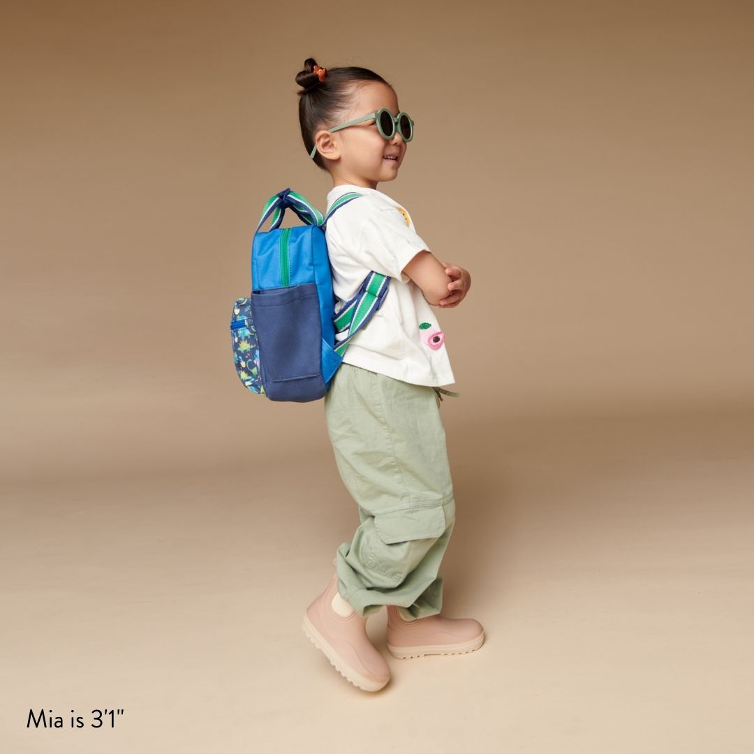 BagToddler Backpack