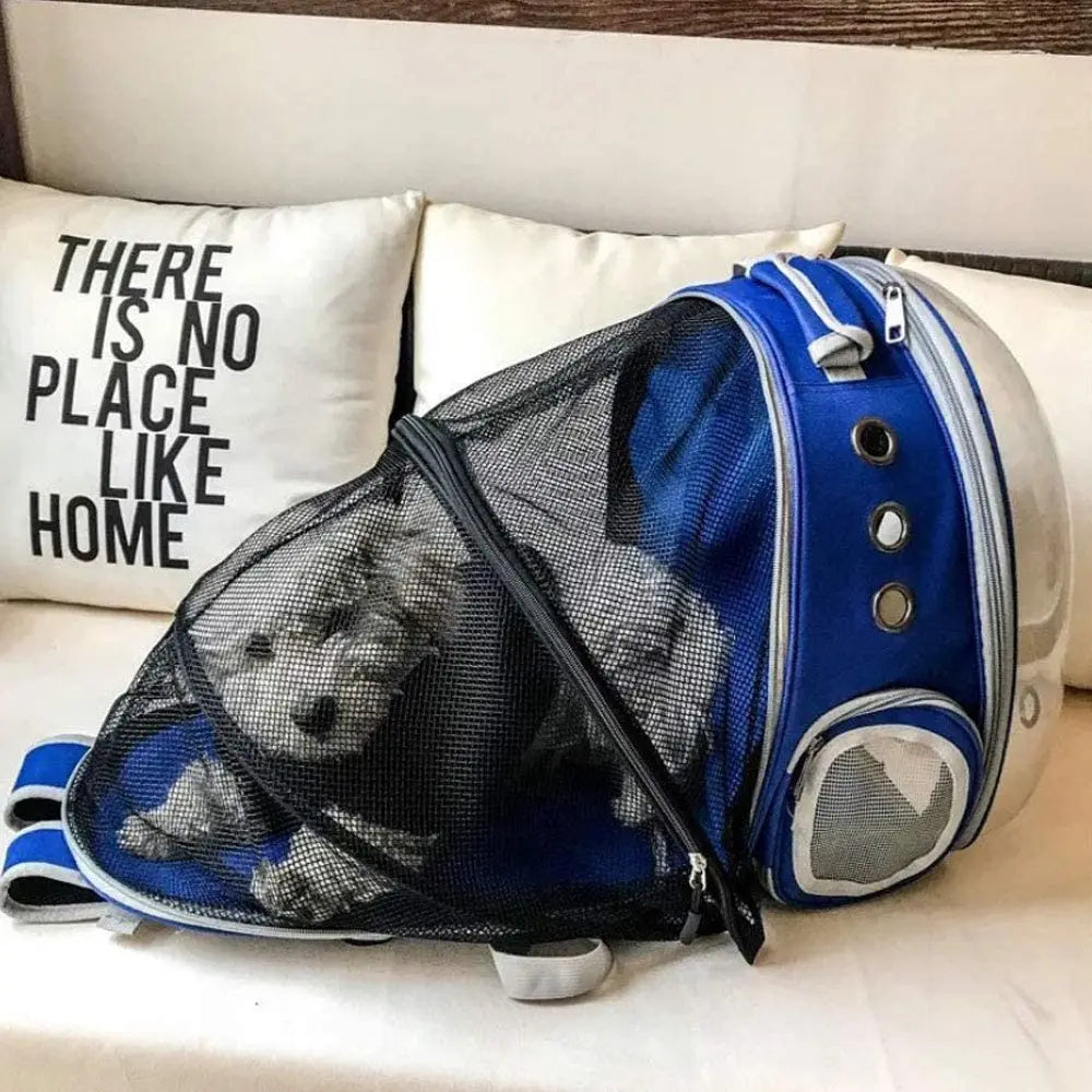 Backpack Pet Carrier