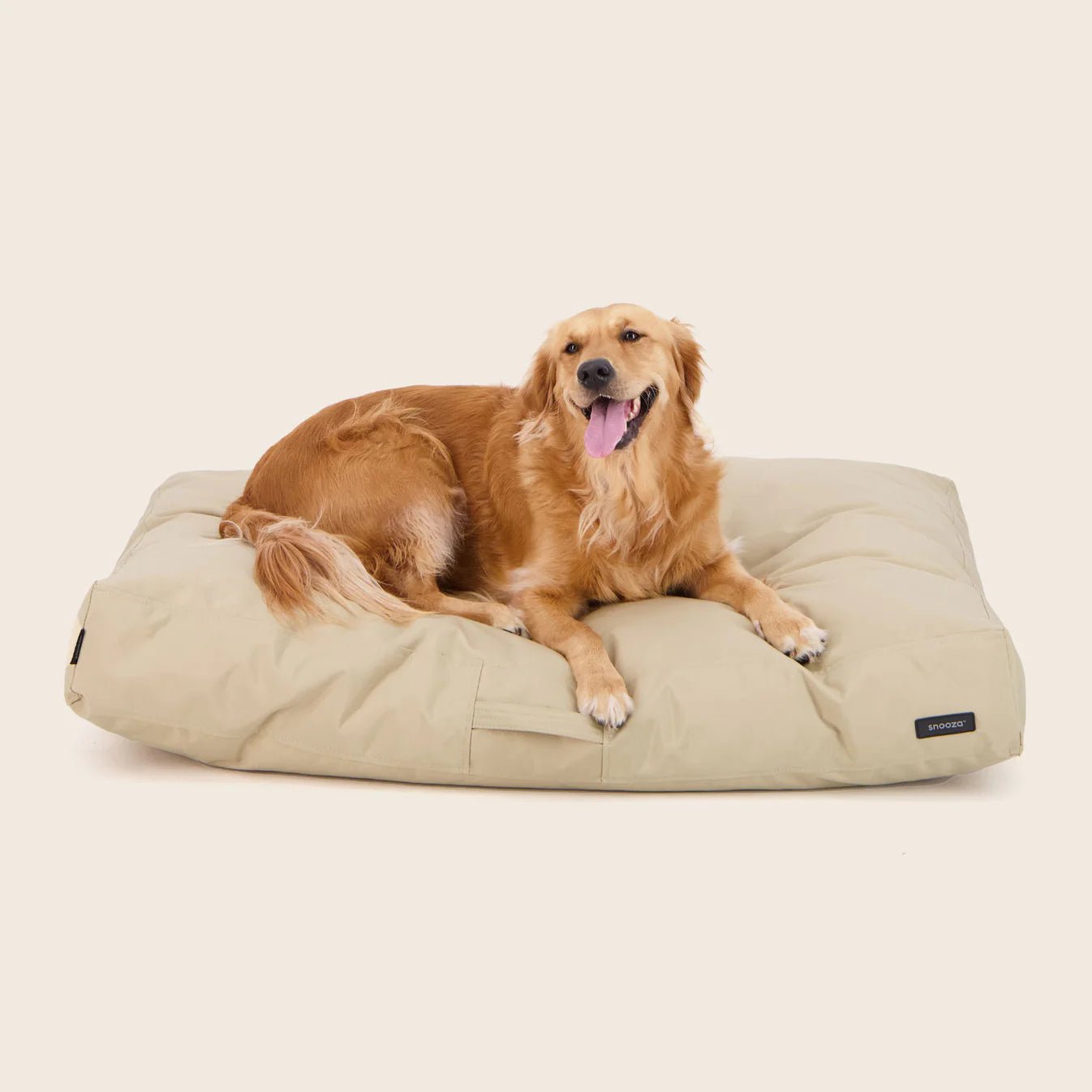 Modern D1000 Outdoor Dog Bed - Biscuit