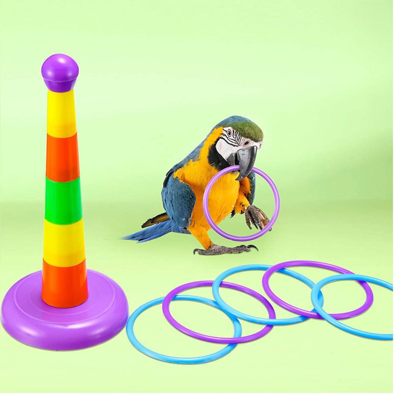 6 Piece Toys For Bird
