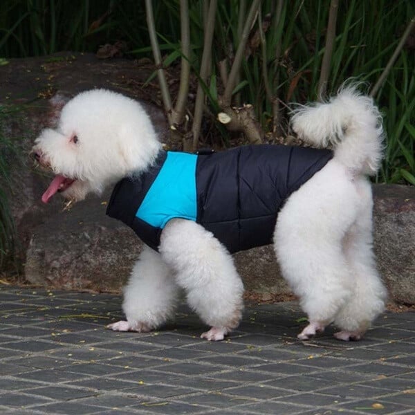 Dog Winter Warm Clothes Zipper Dog Vest🔥BUY 2 FREE SHIPPING