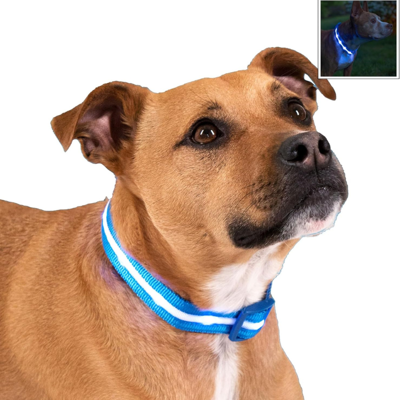 Adjustable Strap Design Dog Leash With LED Lighting