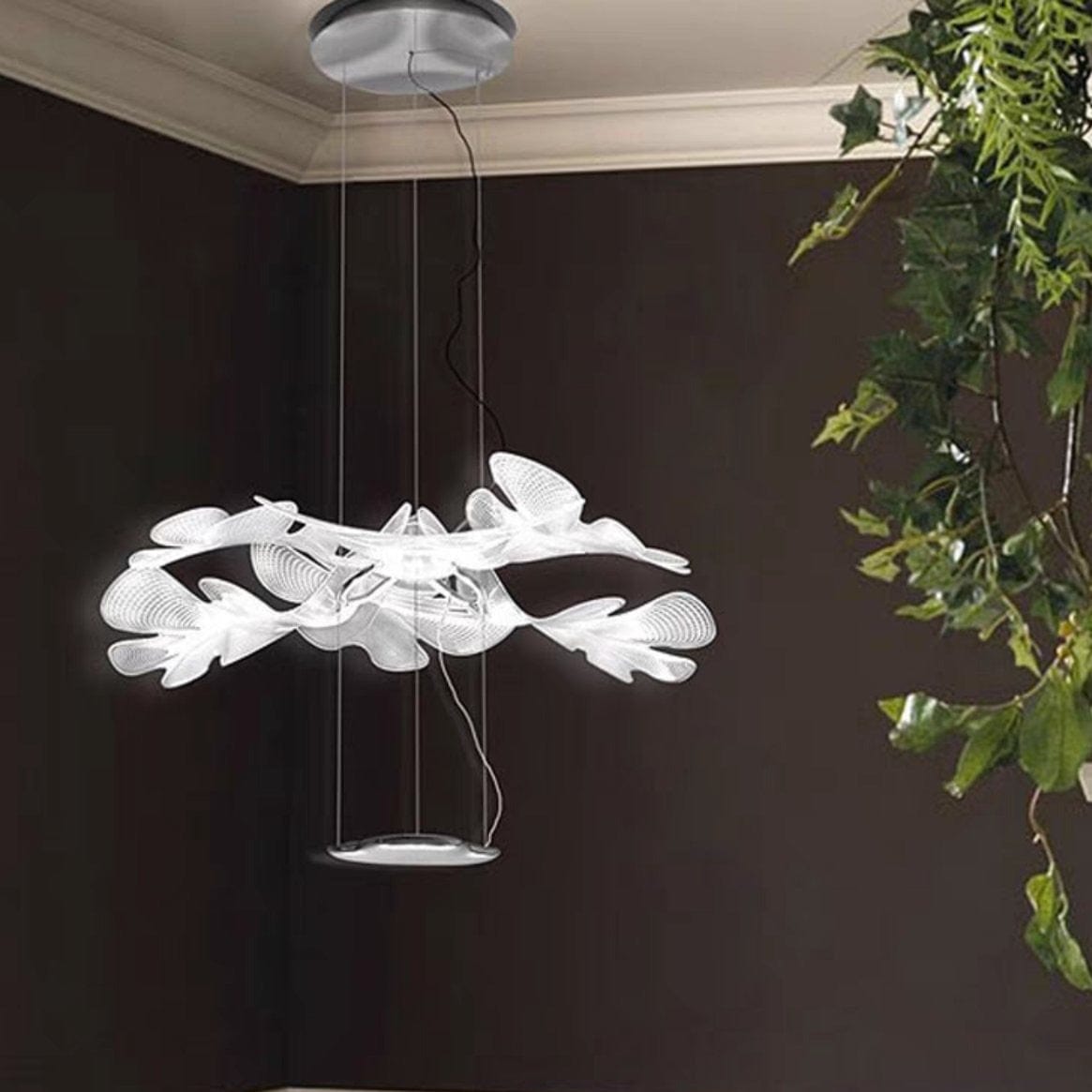 Ankeli | Modern Glass Chandelier