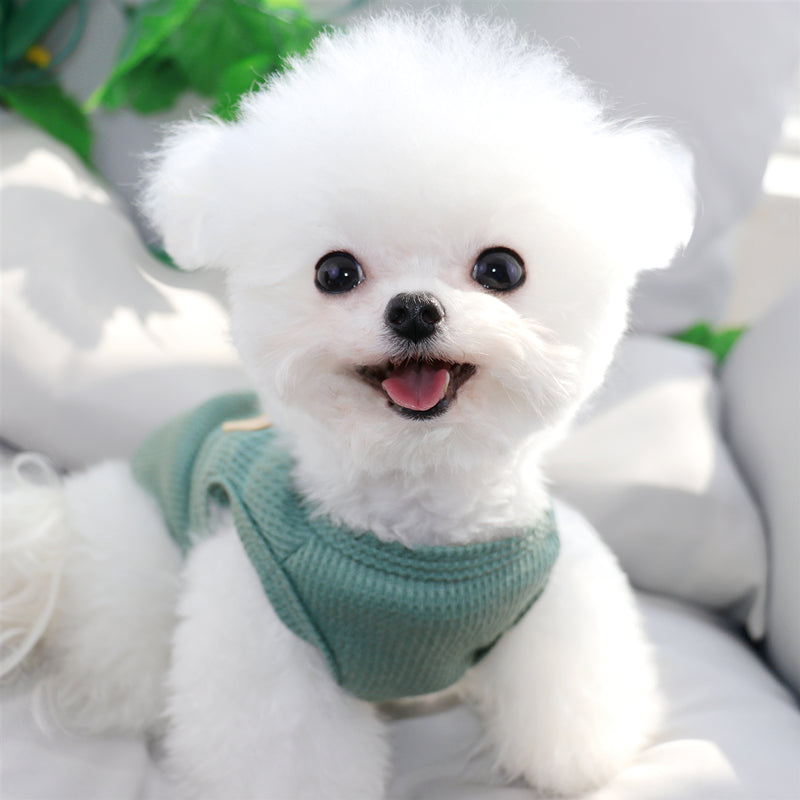 Breathable Bear Printed Cat Dog Vest
