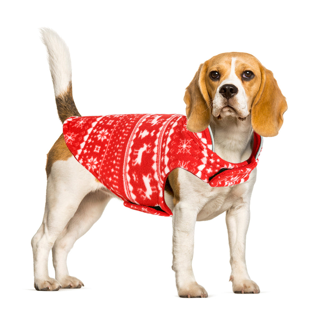 Christmas Dog Clothes