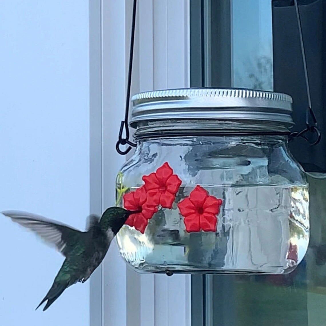 (🔥HOT SALE NOW- 49% OFF🔥) Beautiful Mason Jar Hummingbird Feeder W/ Three Ports 🔥 BUY 2 GET 1 FREE