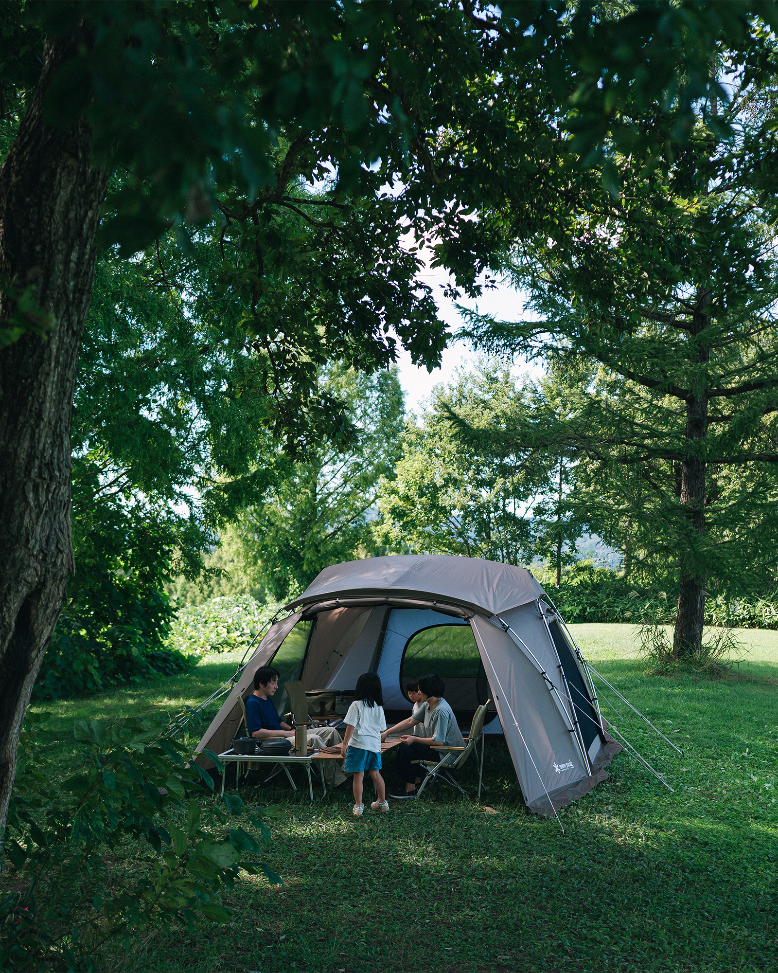 Land Nest Shelter Shield Roof