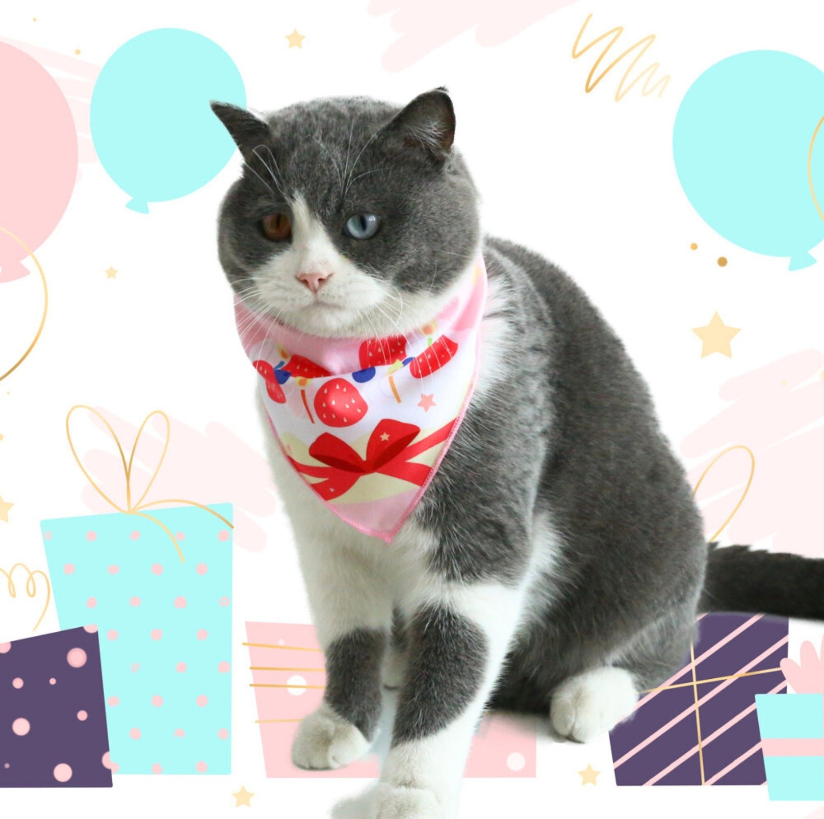 Birthday Pet Bandana - Celebratory Paw-ty Gear