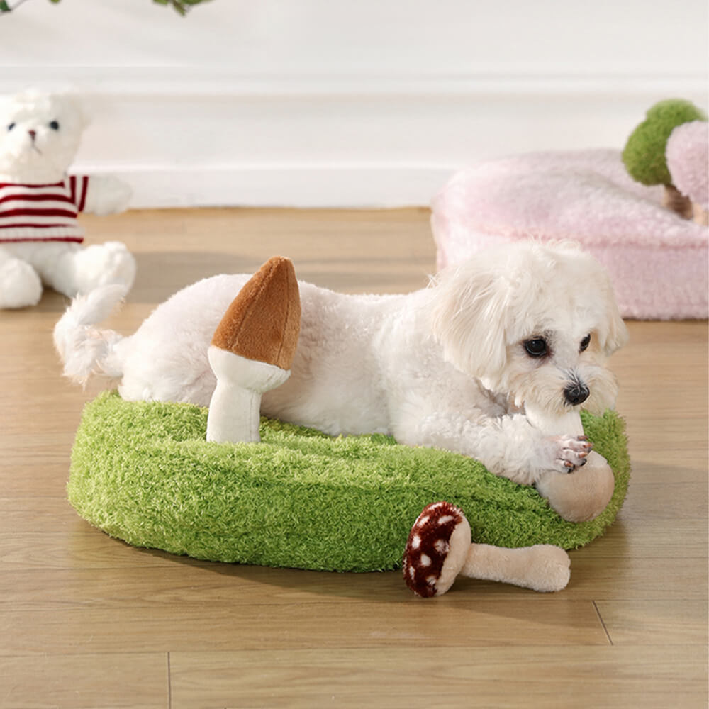 Jungle Explorer 2 in 1 Funny Plush Pet Bed - Nature Park