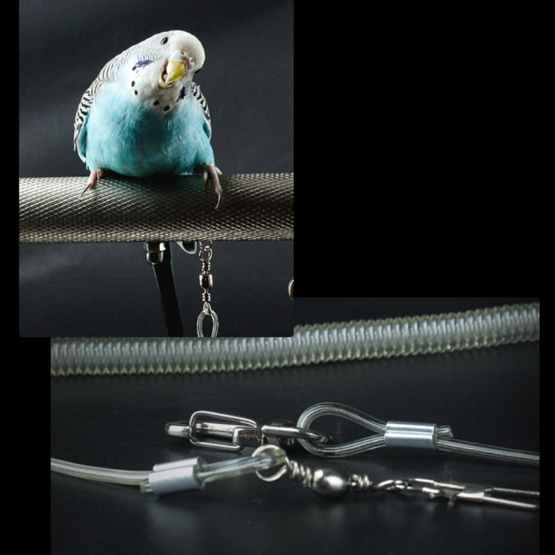 Bird Harness Leash with Leg Ring