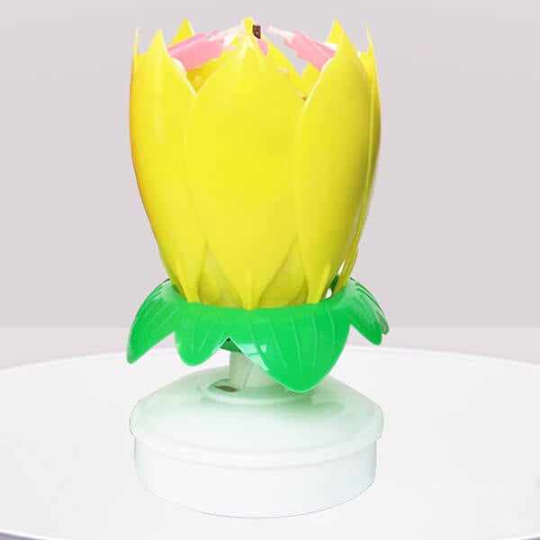 🎂Magic Flower Birthday Candle