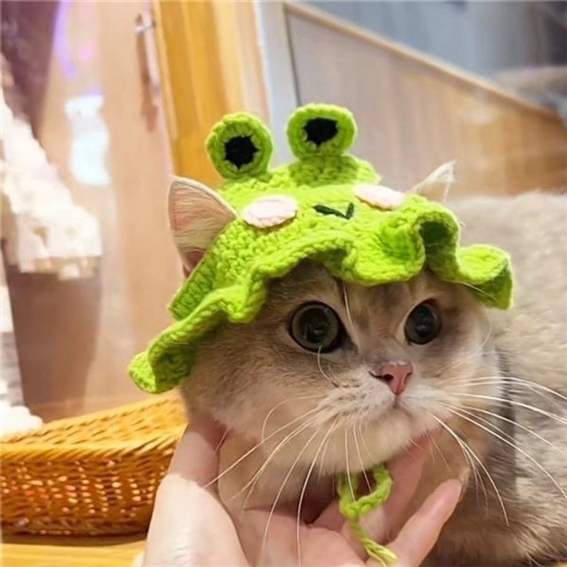 Cute Acrylic Cartoon Pet Hat