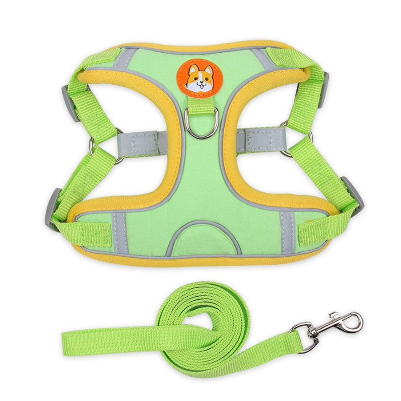 Reliable Dog Harness And Leash Set