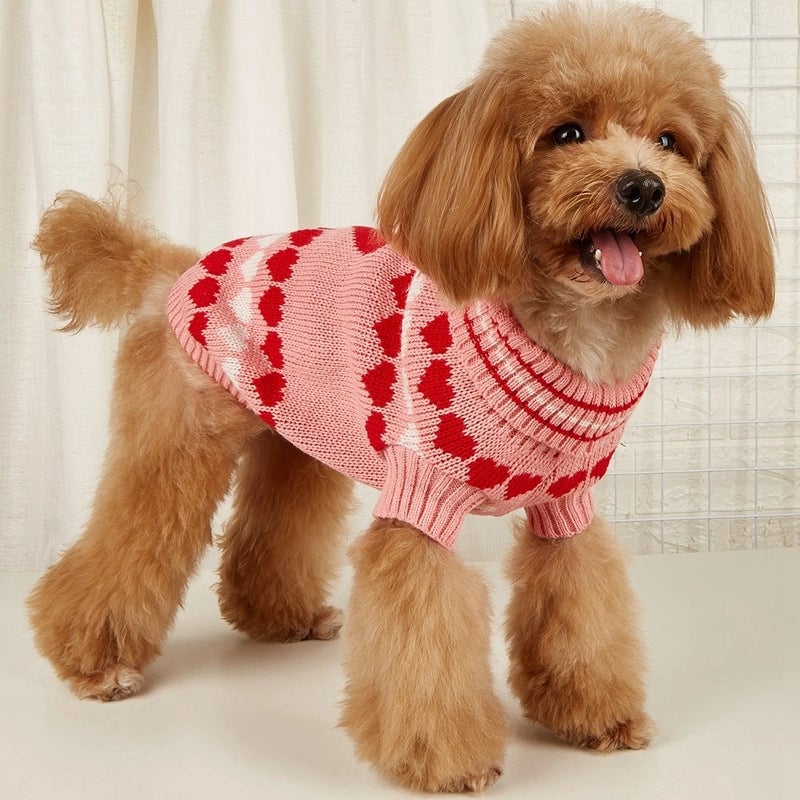 Cute Acrylic Valentine'S Day Heart Shape Pet Clothing