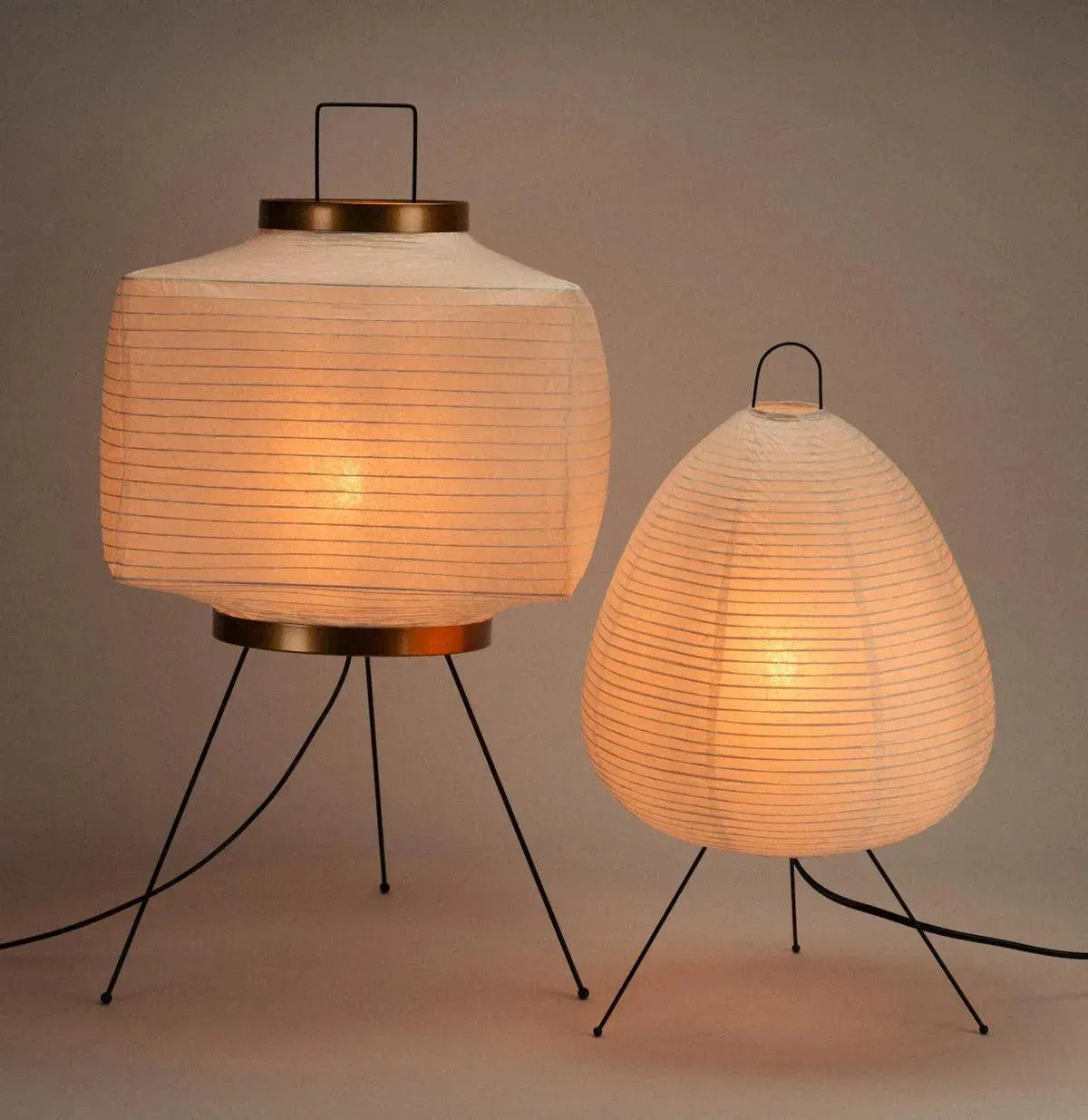 Boxy + Absolutely Necessary Lamp Bundle