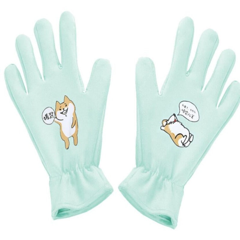 Pet Hair Removal Comb Gloves