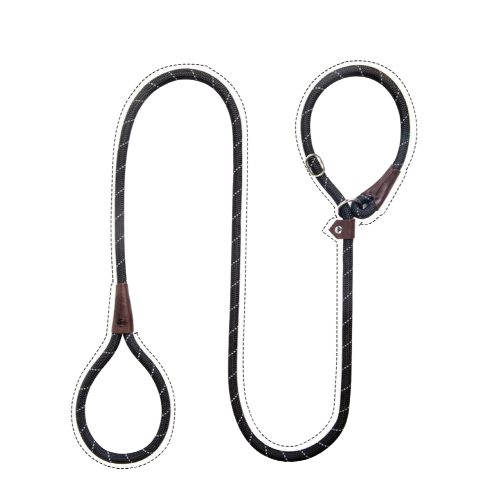 Sturdy Slip Training Leash