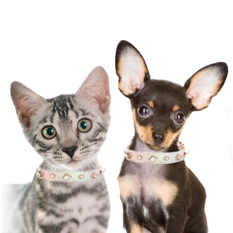 Rhinestone Decor Gradient Color Dog Collar