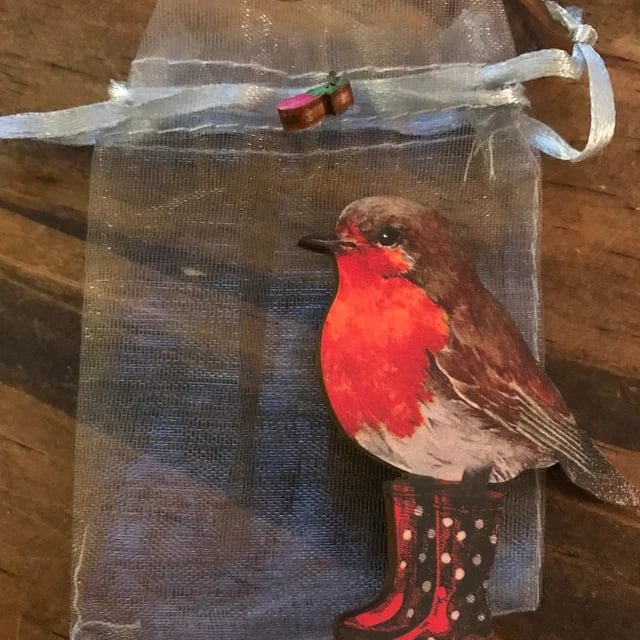 Carpenter Craft-Animal Wooden Brooch🐦