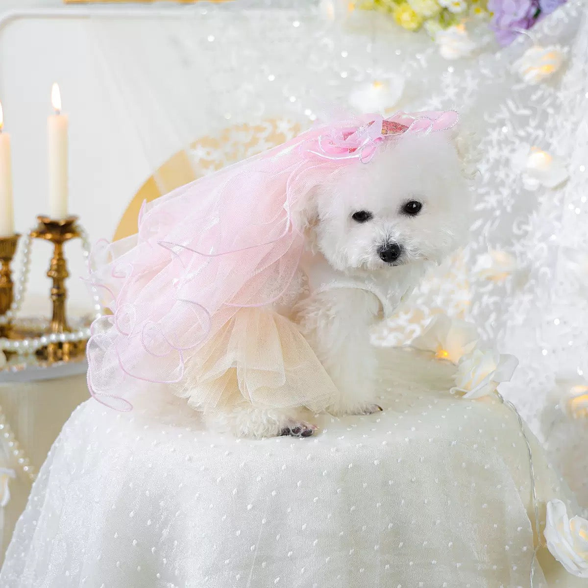 Bow/Mermaid/Ear Pattern Dog Cat Veil