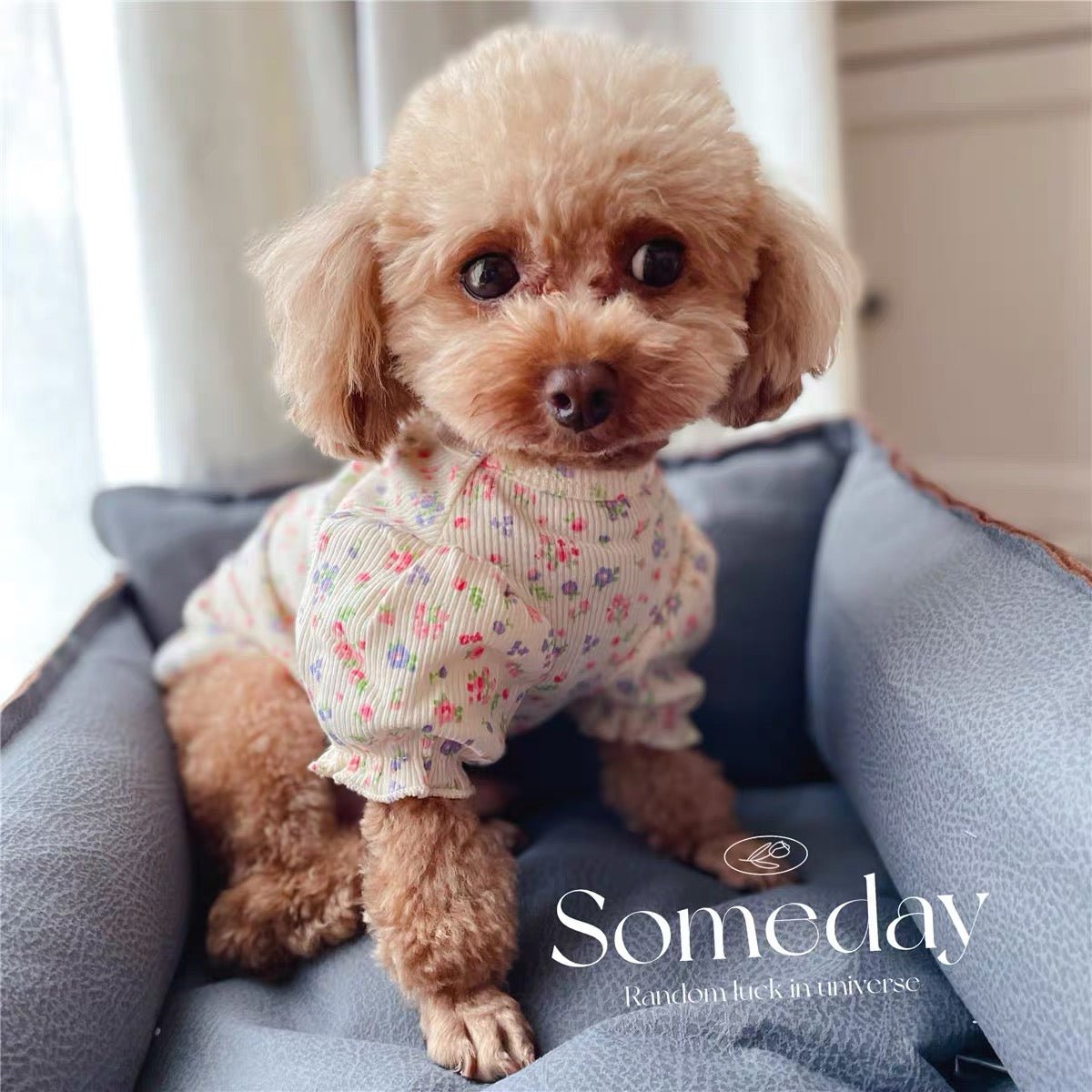Puffy Sleeves Flower Dog Cat Clothes