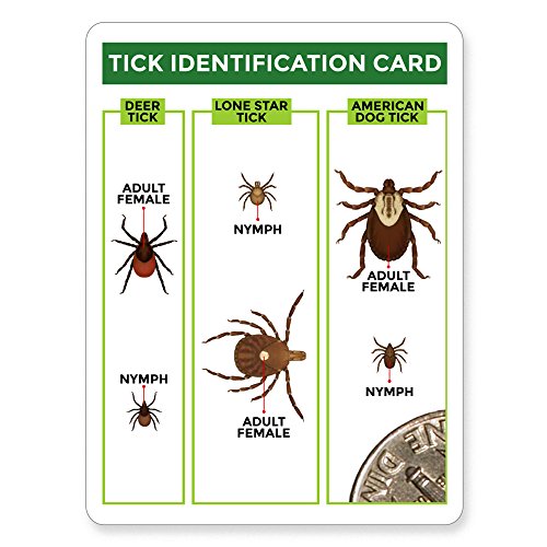 Tick Remover Value 3 Pack - Tick Remover Tools + Tick Identification Card - for Humans. Dogs & Cats (1 Set)