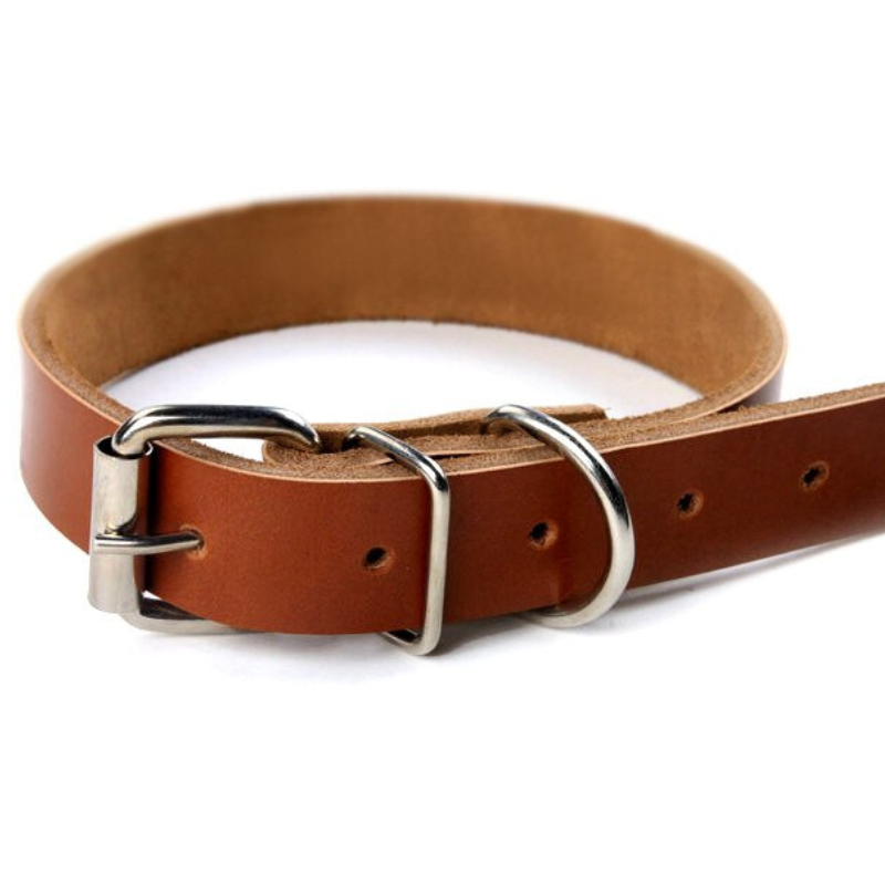 Puppy Dogs Collar