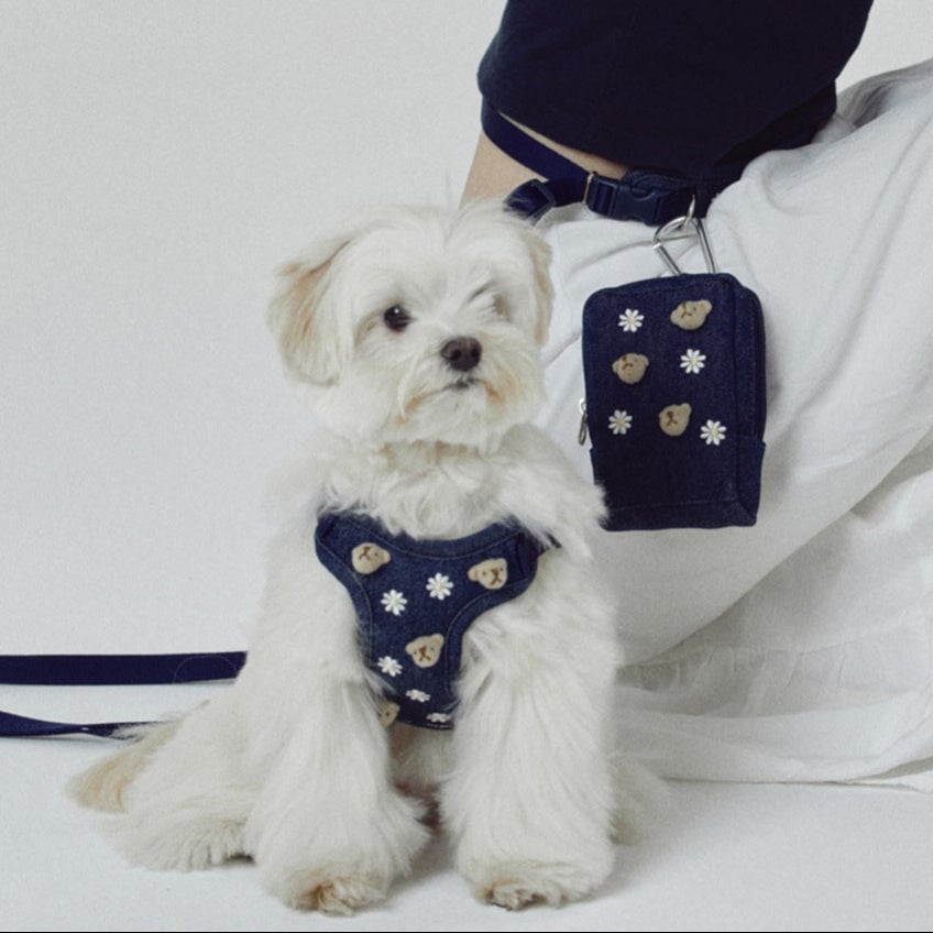 Bear Decor Denim Dog Harness/Collar/Bag