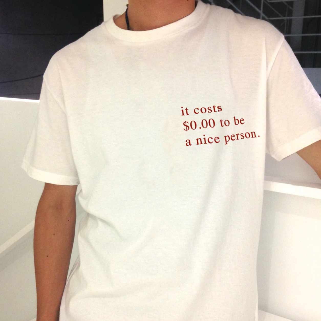 It Costs $0.00 To Be A Nice Person Tee