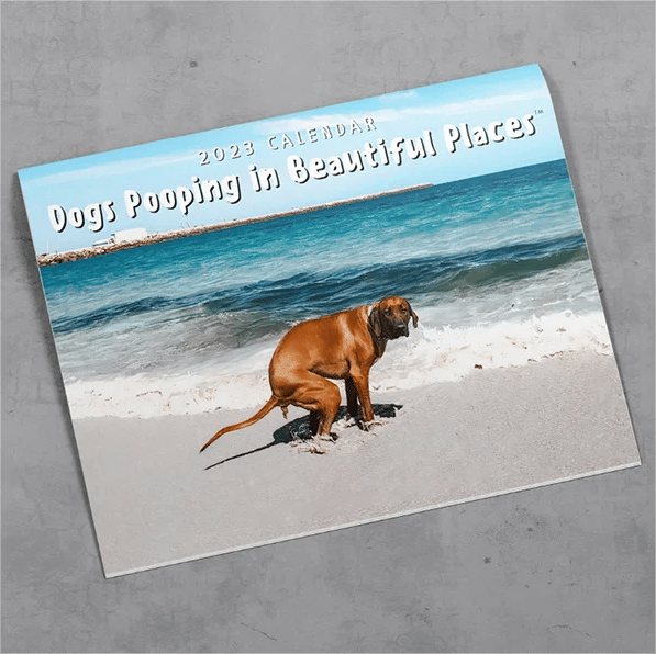 Funny Calendar Gift - Dog Poop Calendar