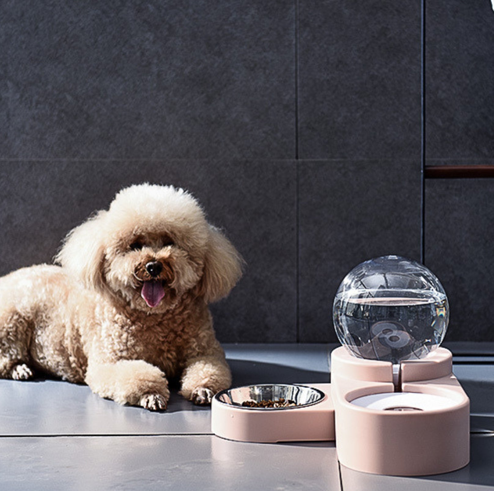 Spherical Double Cat and Small Dog Bowl With Automatic Water Refill