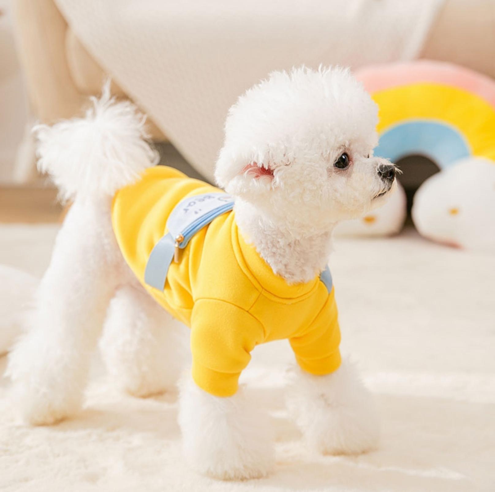 Warm and Fashionable Pet Sweater with Crossbody Bag