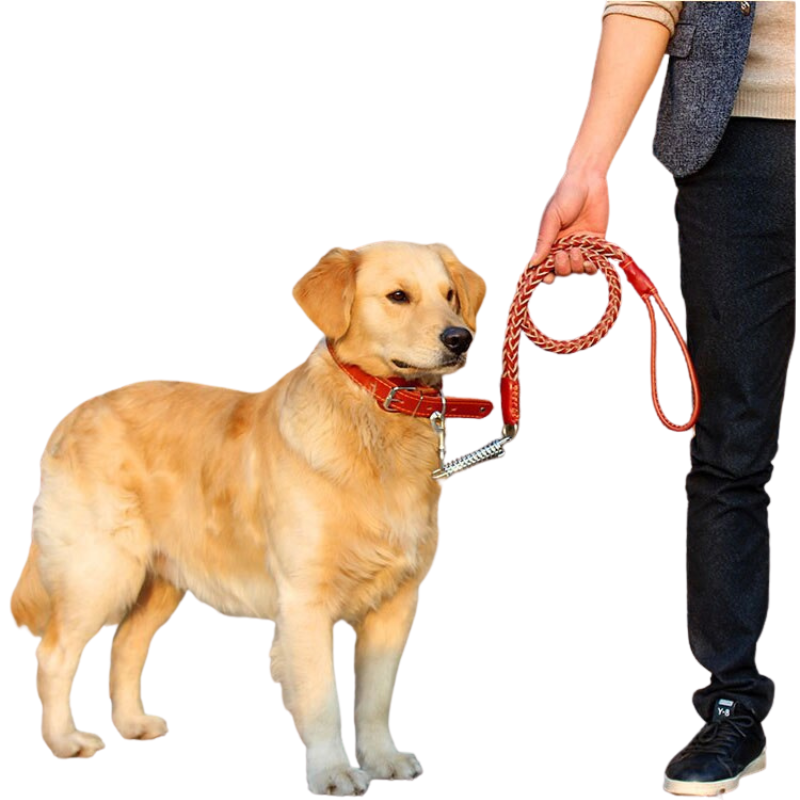Leather Dog Collar And Leash