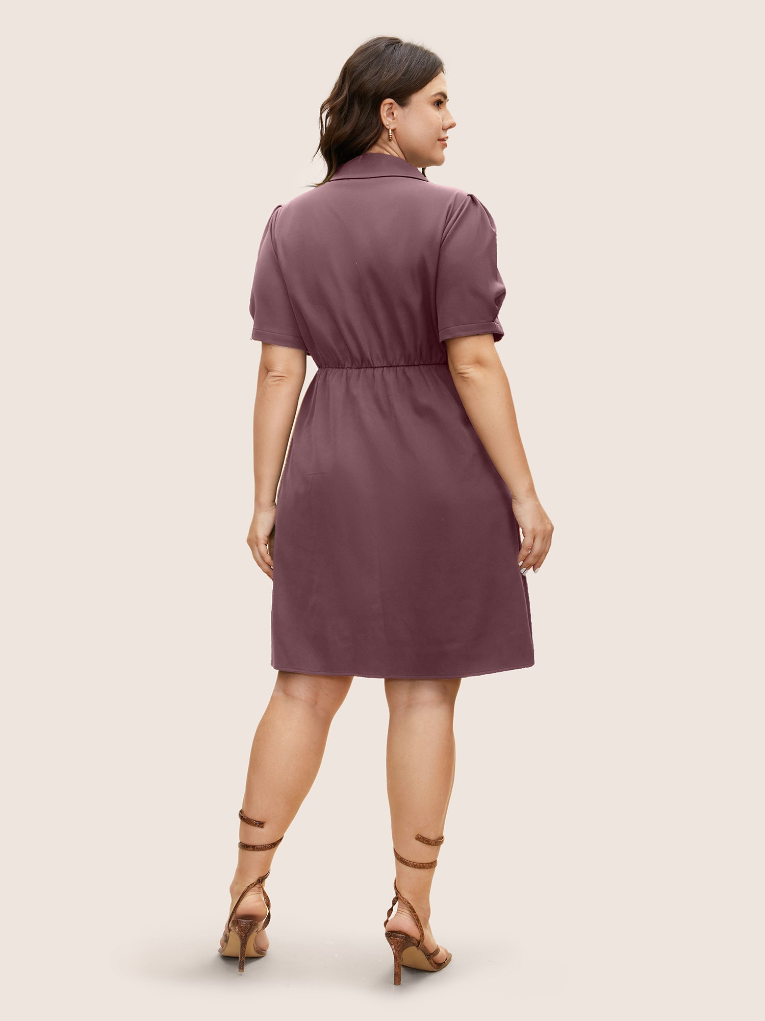 Suit Collar Metal Detail Lantern Sleeve Dress